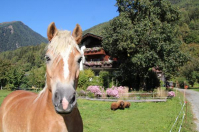 Bio-Bauernhof Auernig, Obervellach, Österreich